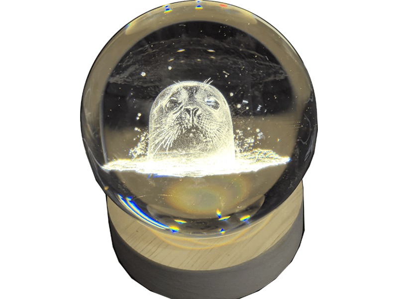 VORORDER-2026-21280 Laser Glas Quader rund 80mm