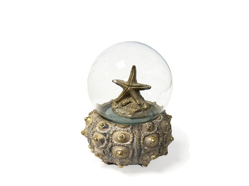 VORORDER-2026-23297 Schneekugel Seestern