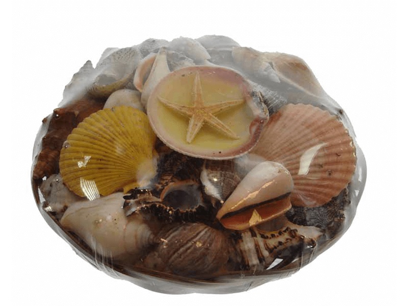 VORORDER-2026-29430 Muschelkorb ca. 20cm