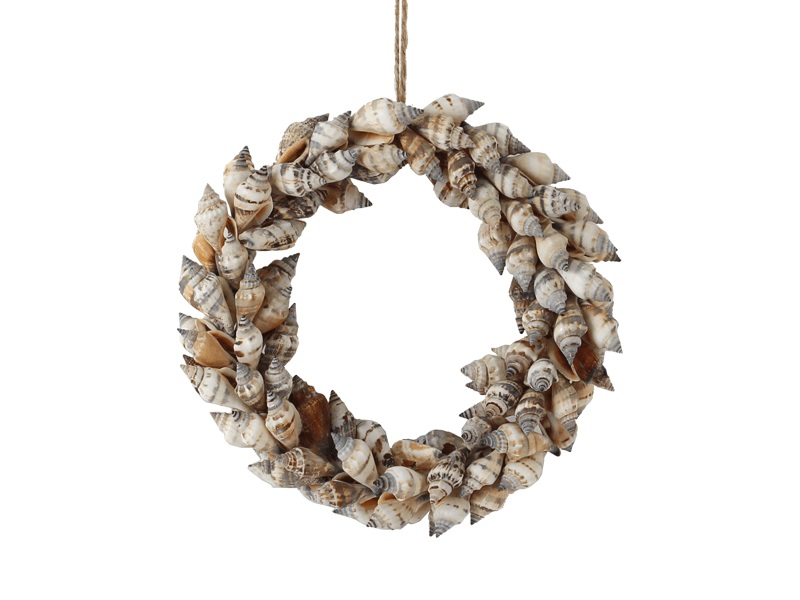 VORORDER-2026-29467 Muschel Kranz -Urceus- 15cm