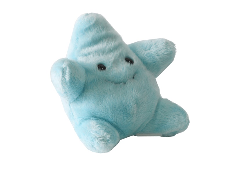 VORORDER-2026-77511 Plüsch Seestern Türkis 13cm